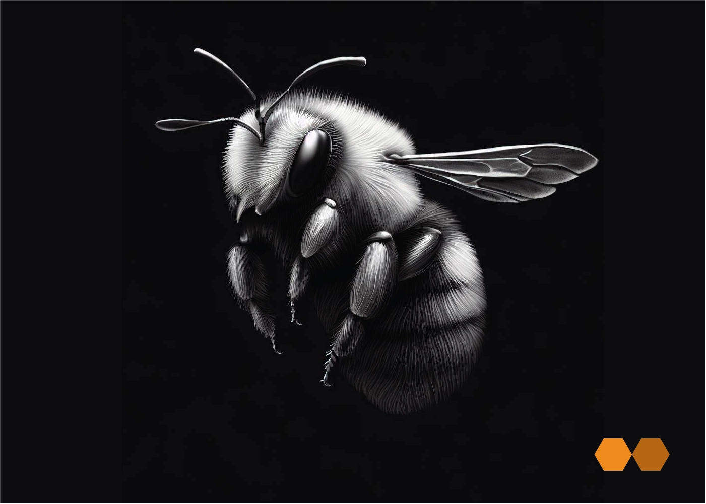 Honeycomb